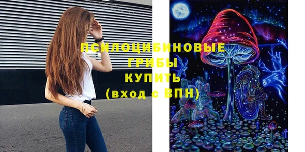 мескалин Надым