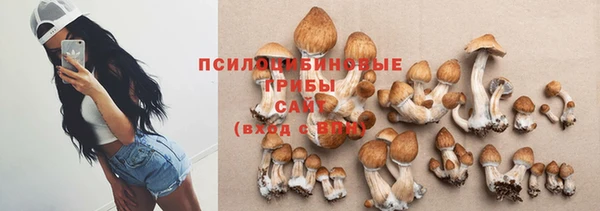мескалин Надым