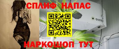 шишки Волжск