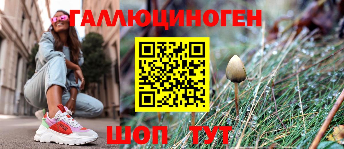 Псилоцибиновые грибы Psilocybe  Вход с VPN  Долгопрудный 
