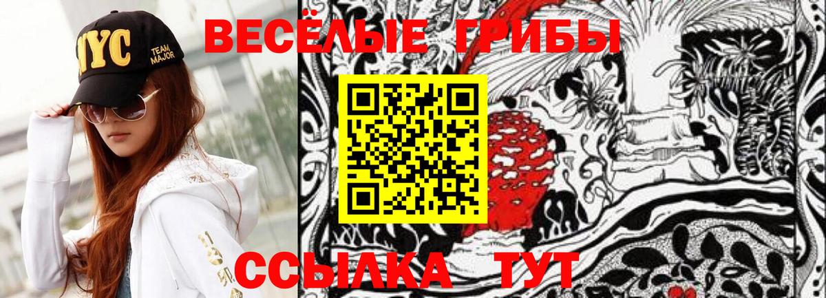 Галлюциногенные грибы мицелий  Долгопрудный 